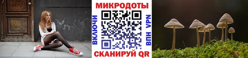 Галлюциногенные грибы мицелий  blacksprut ONION  Ладушкин  что такое  